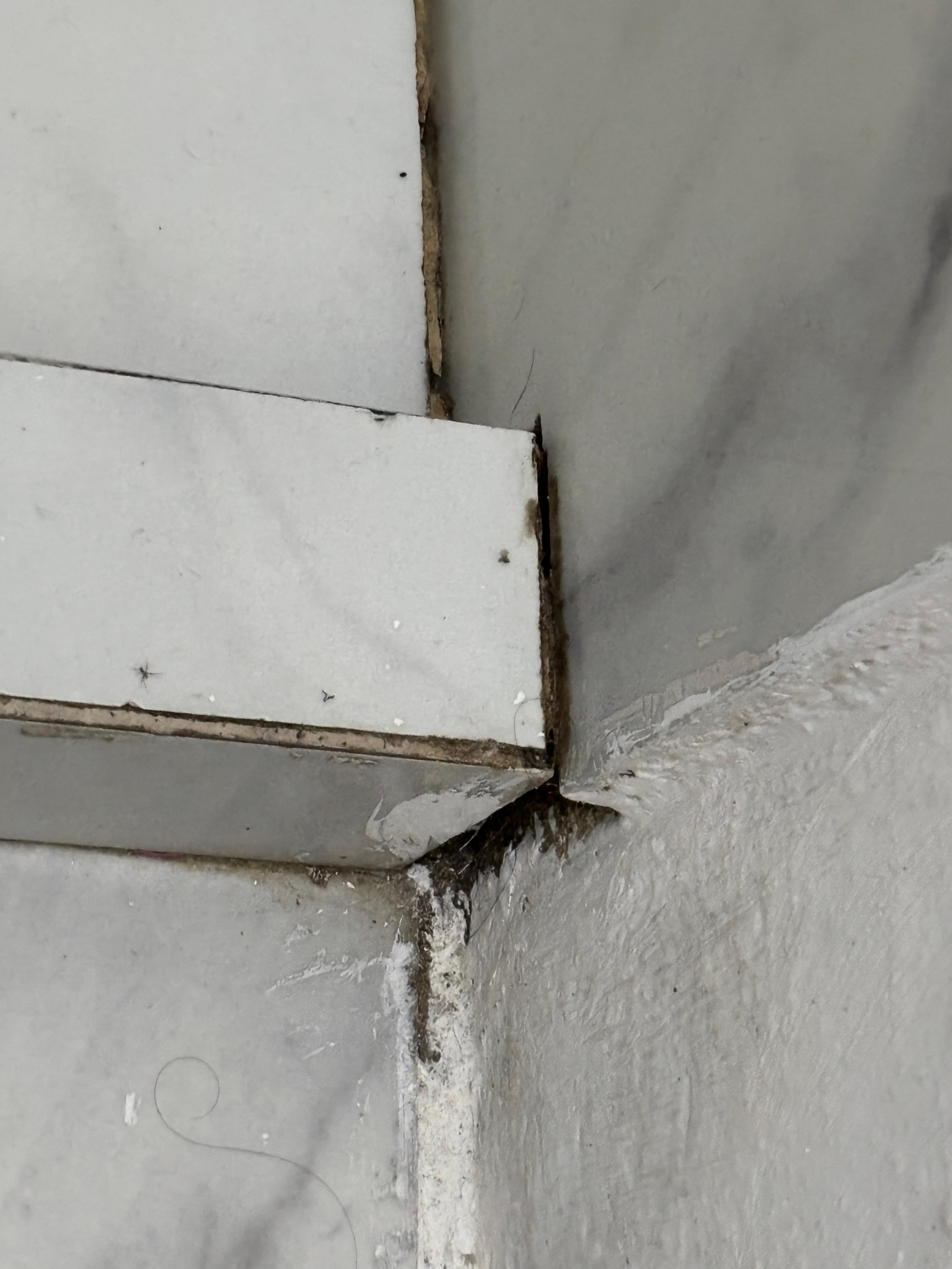 Dirty no grout