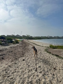 Andy's Way Great Salt Pond