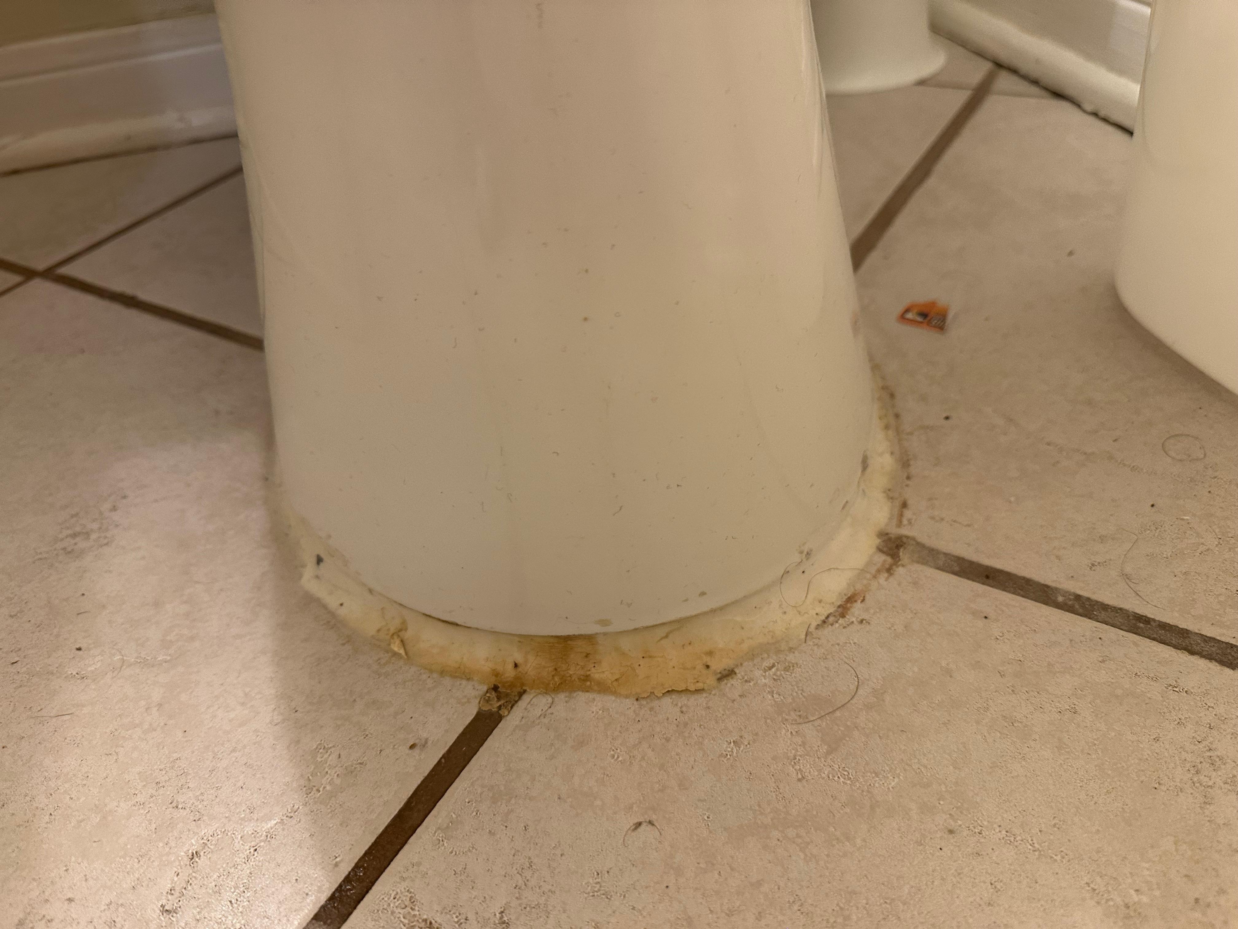 Upon arrival, this was base of the toilet in the primary bathroom. 