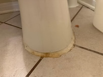 Upon arrival, this was base of the toilet in the primary bathroom.