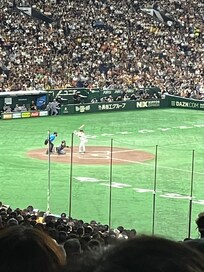 野球の試合観てきました。