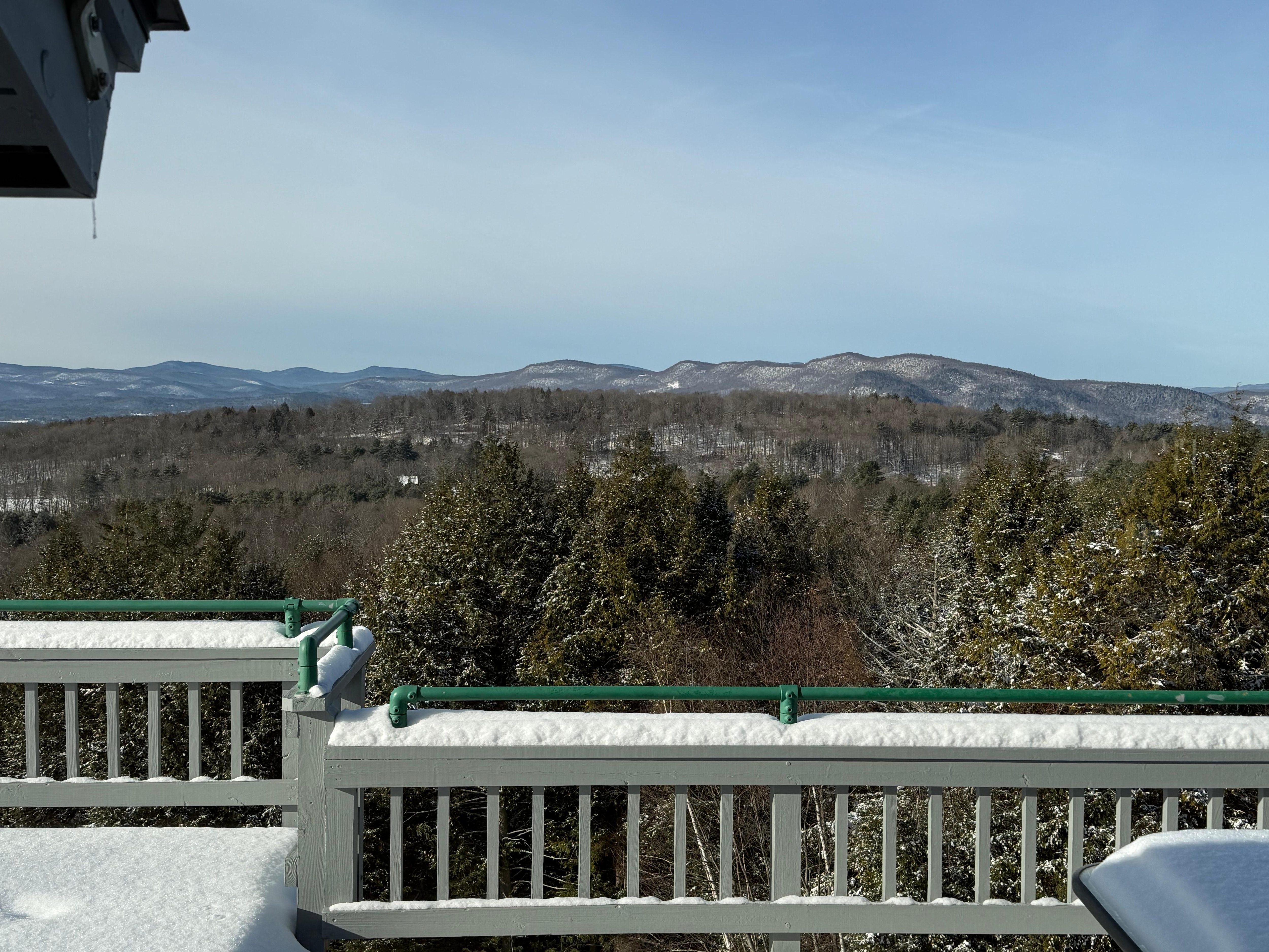 Patio view from window