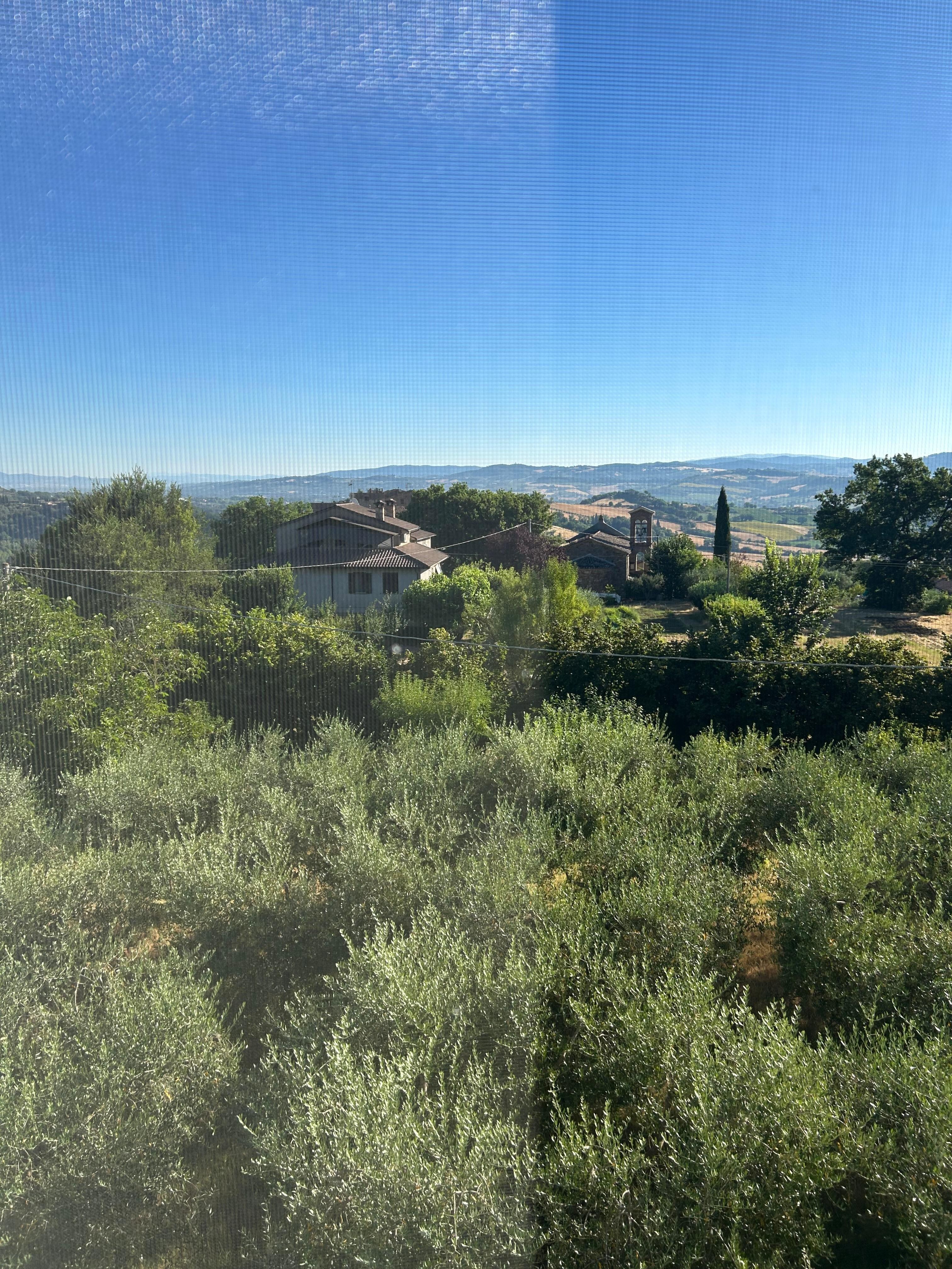 The same view later in the day