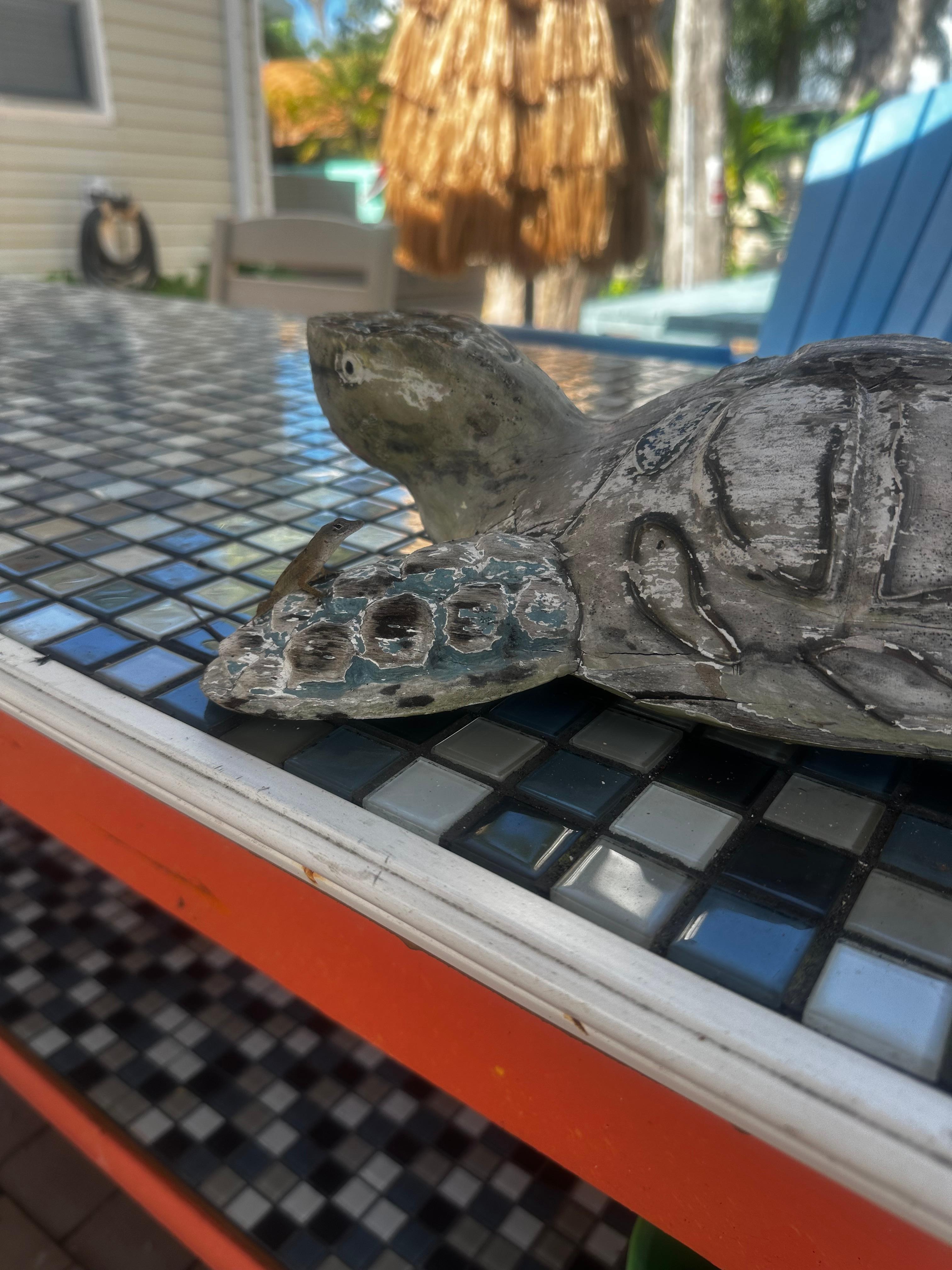 Little friend on the back deck by the grill