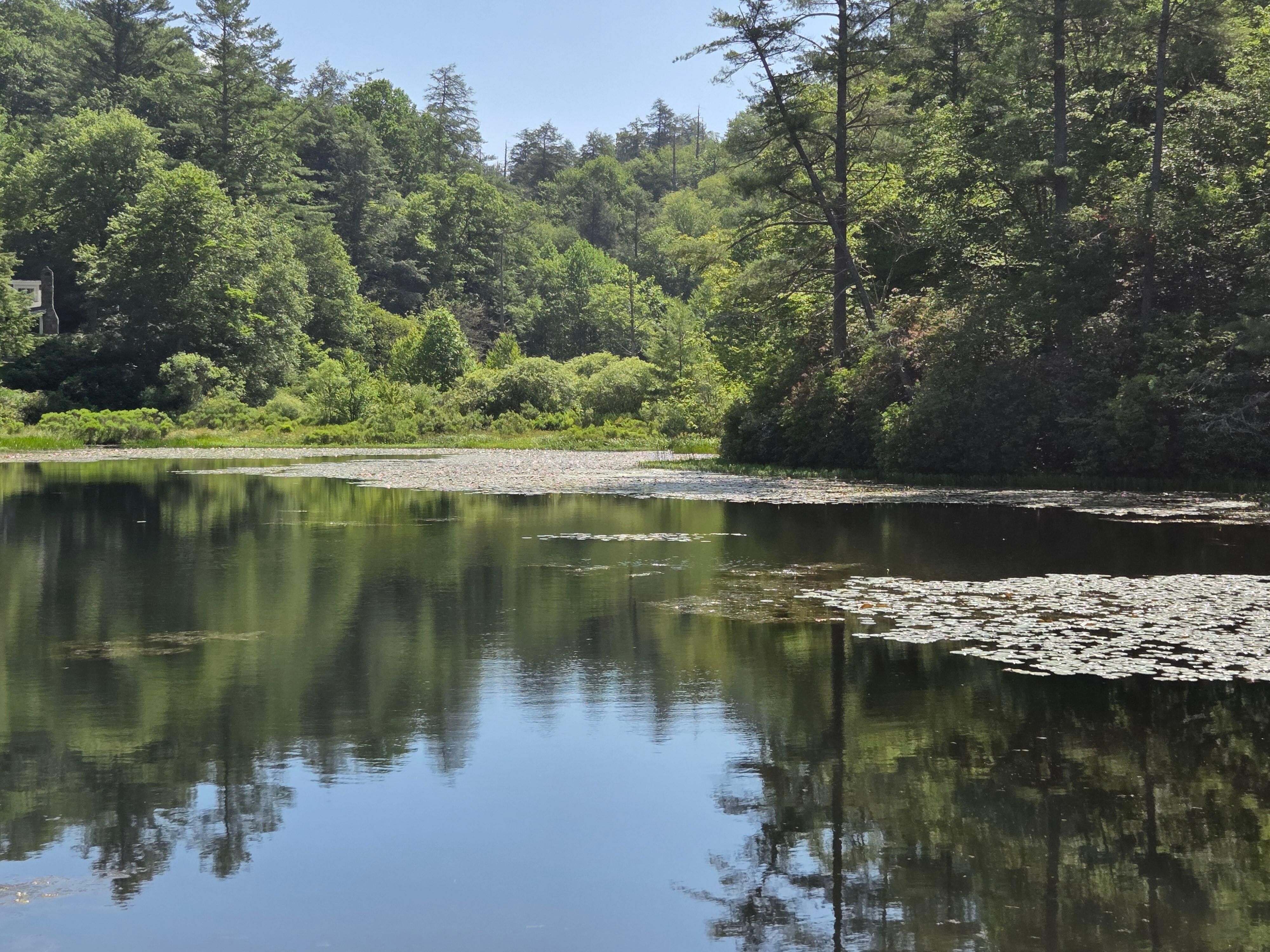 Brevard Arboritum