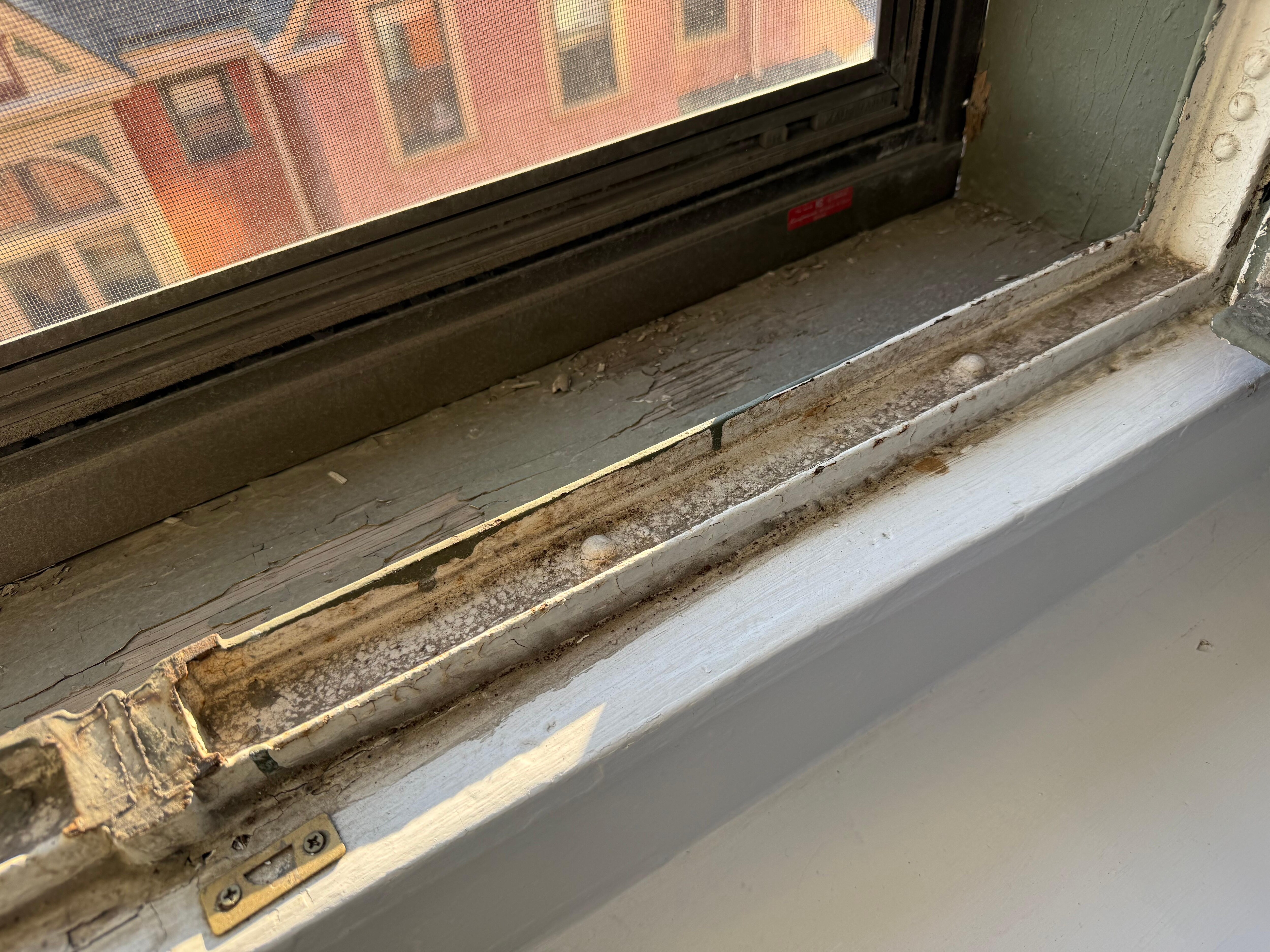 Dirty window we had to open in the middle of the night because the room was so hot. 