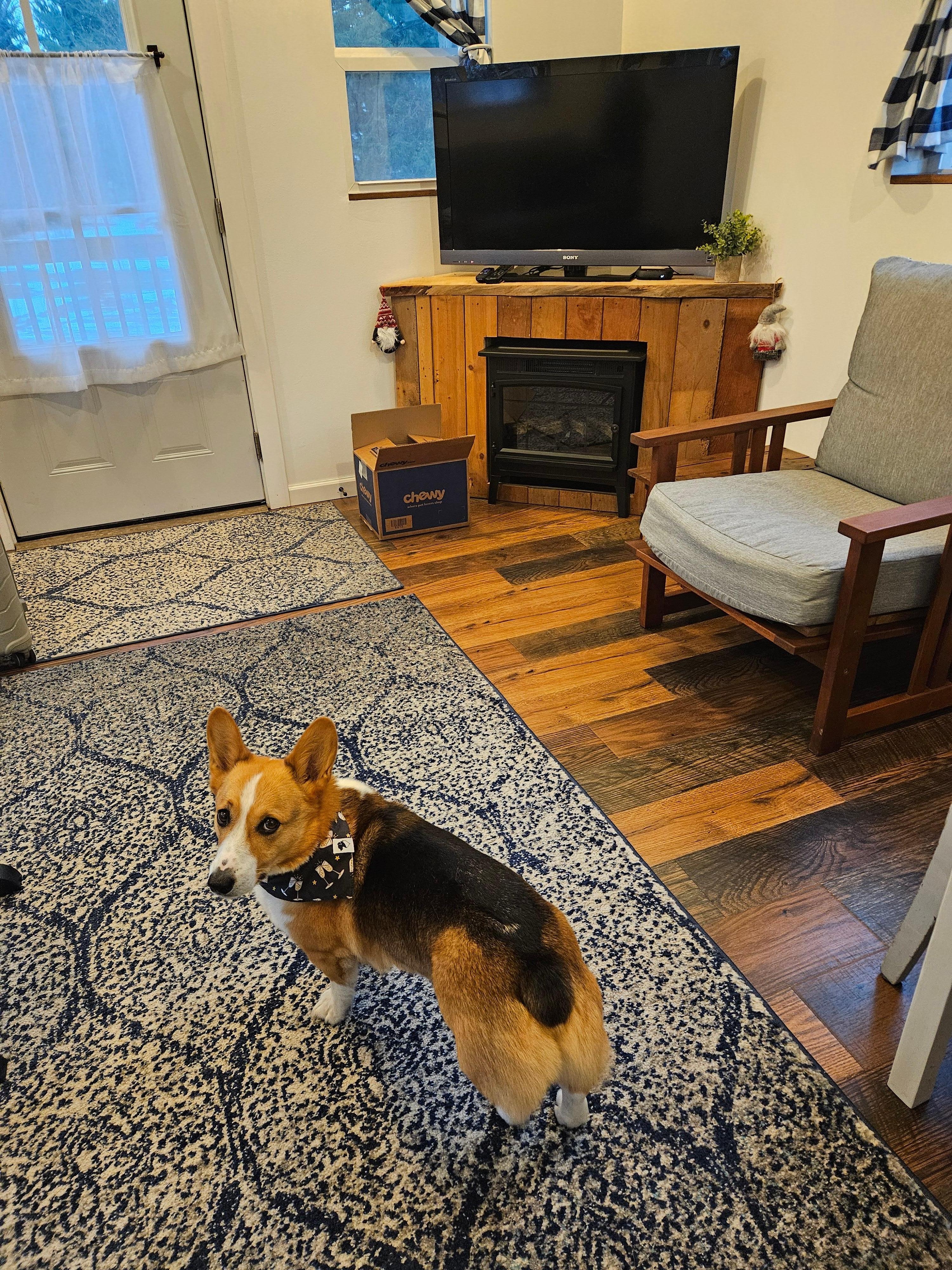 Inspecting the place.