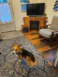 Inspecting the place.