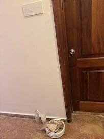 Took the food used dishes to the housekeeper room myself after hours of waiting for them to pick it up