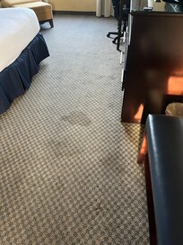 Soiled carpet. Beat up furniture.