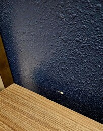 Paint needs touch ups