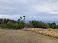 Another view from the lanai!