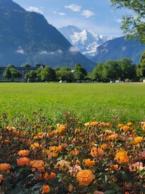 View from downtown park