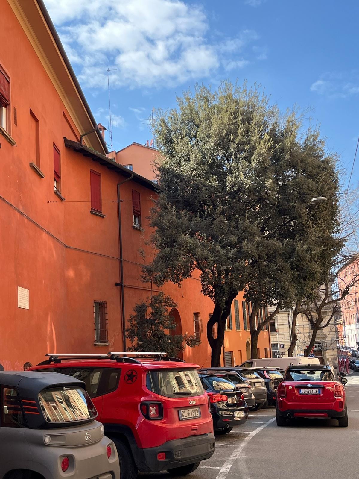 A neighborhood street 