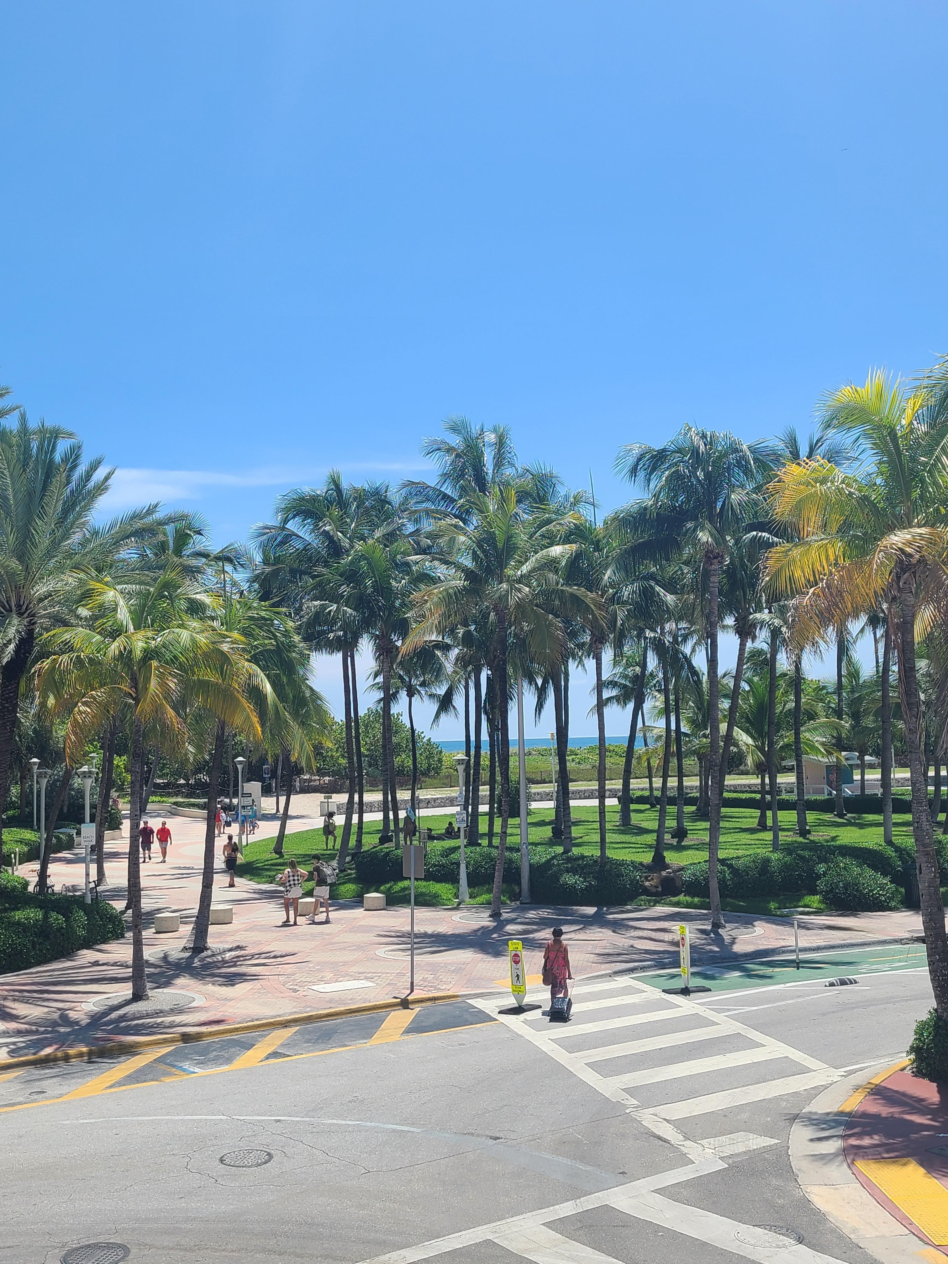 Only.pocture I took was the view from shared patio. Very nice area. 