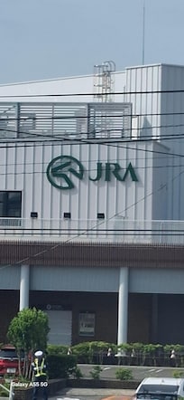 朝の様子。部屋から函館競馬場が見えます。