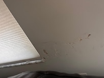 wall