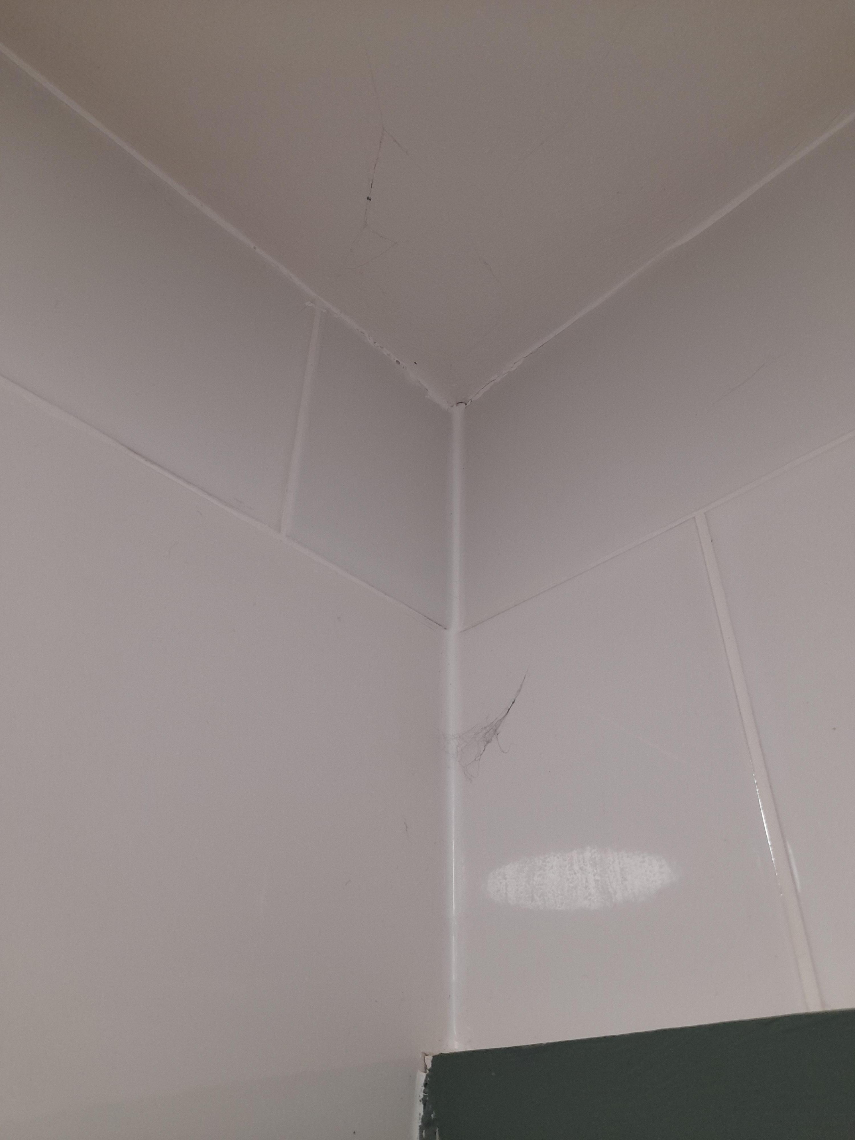 Cobwebs in the bathroom