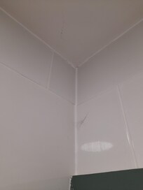 Cobwebs in the bathroom