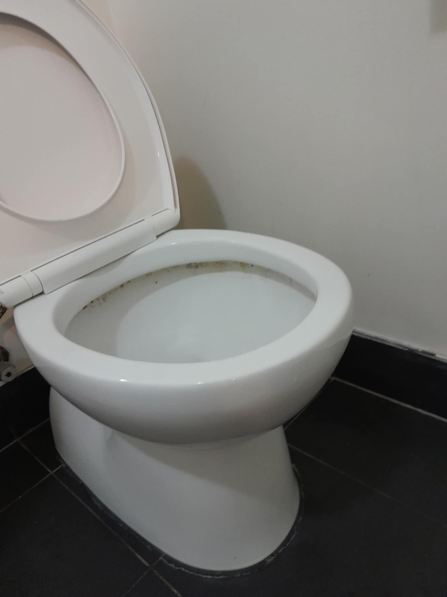 the filthy toilet bowl