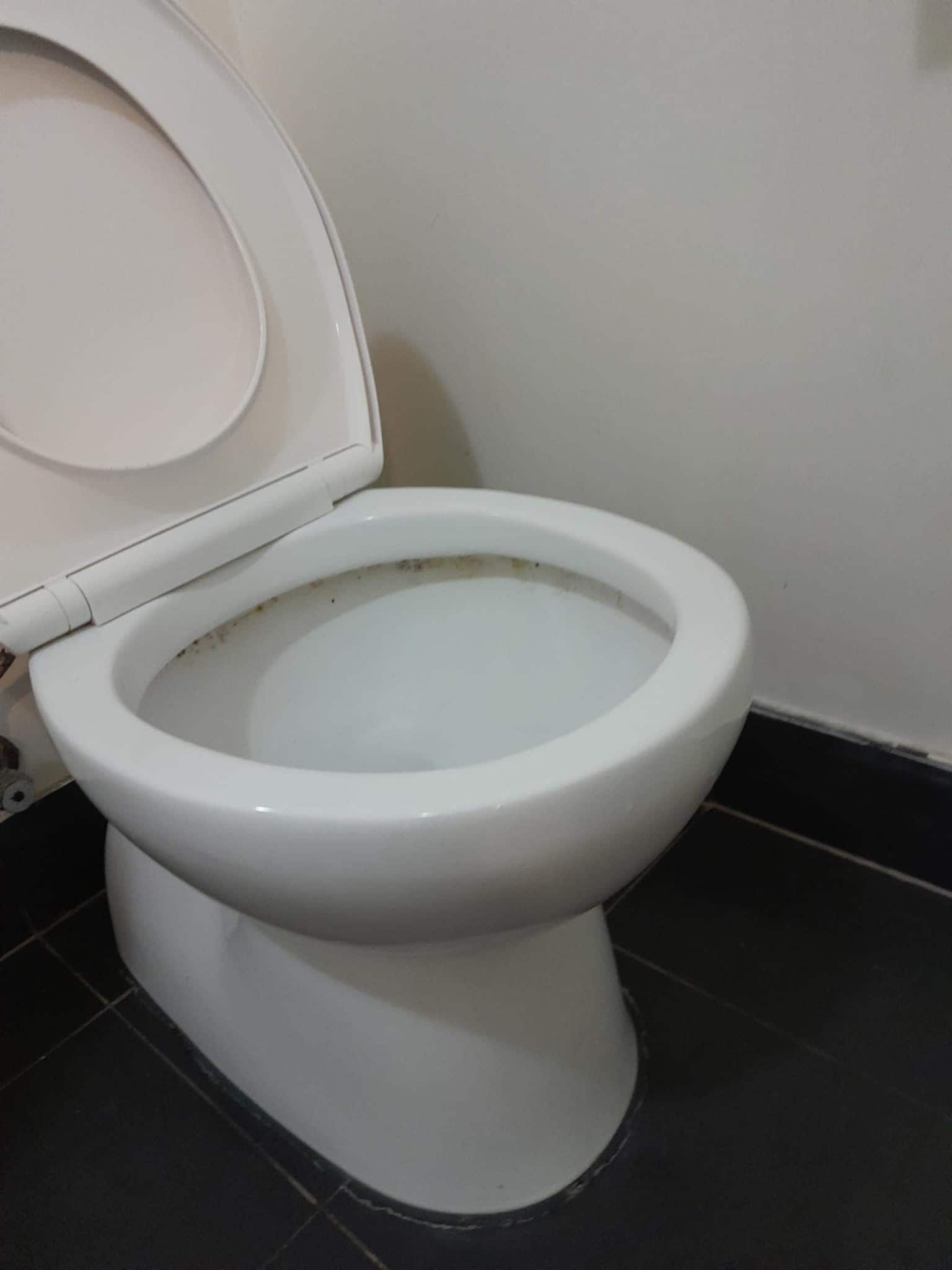 the filthy toilet bowl