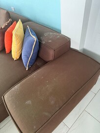 Mold growing on the couch