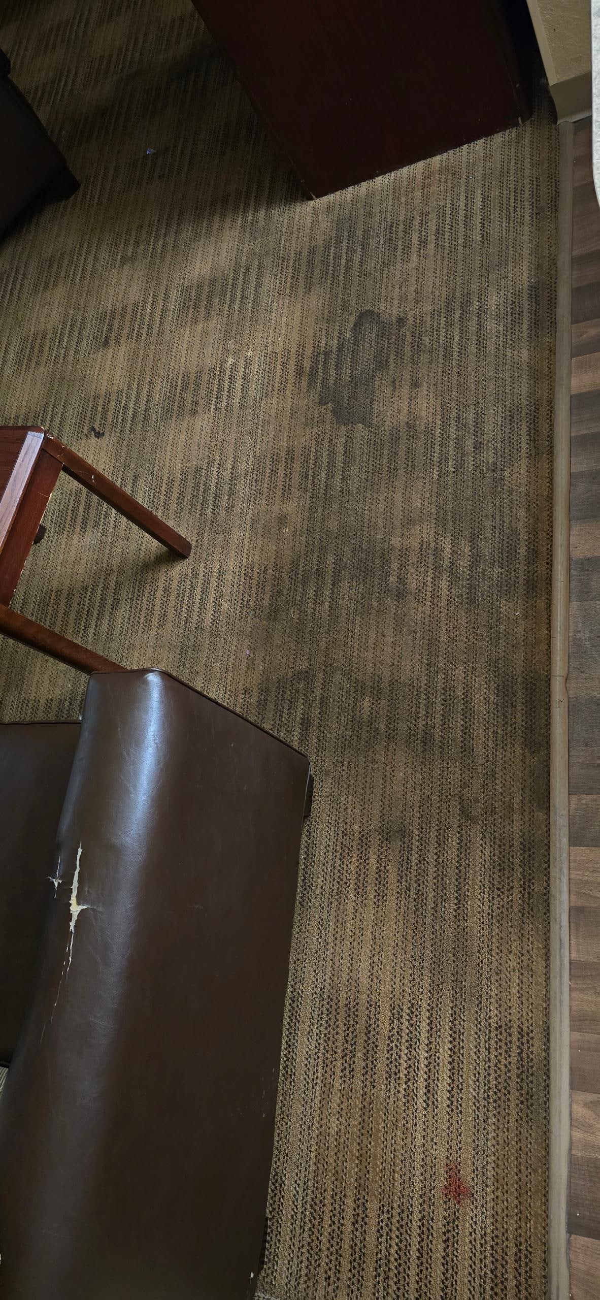 Carpet smelled like dog piss