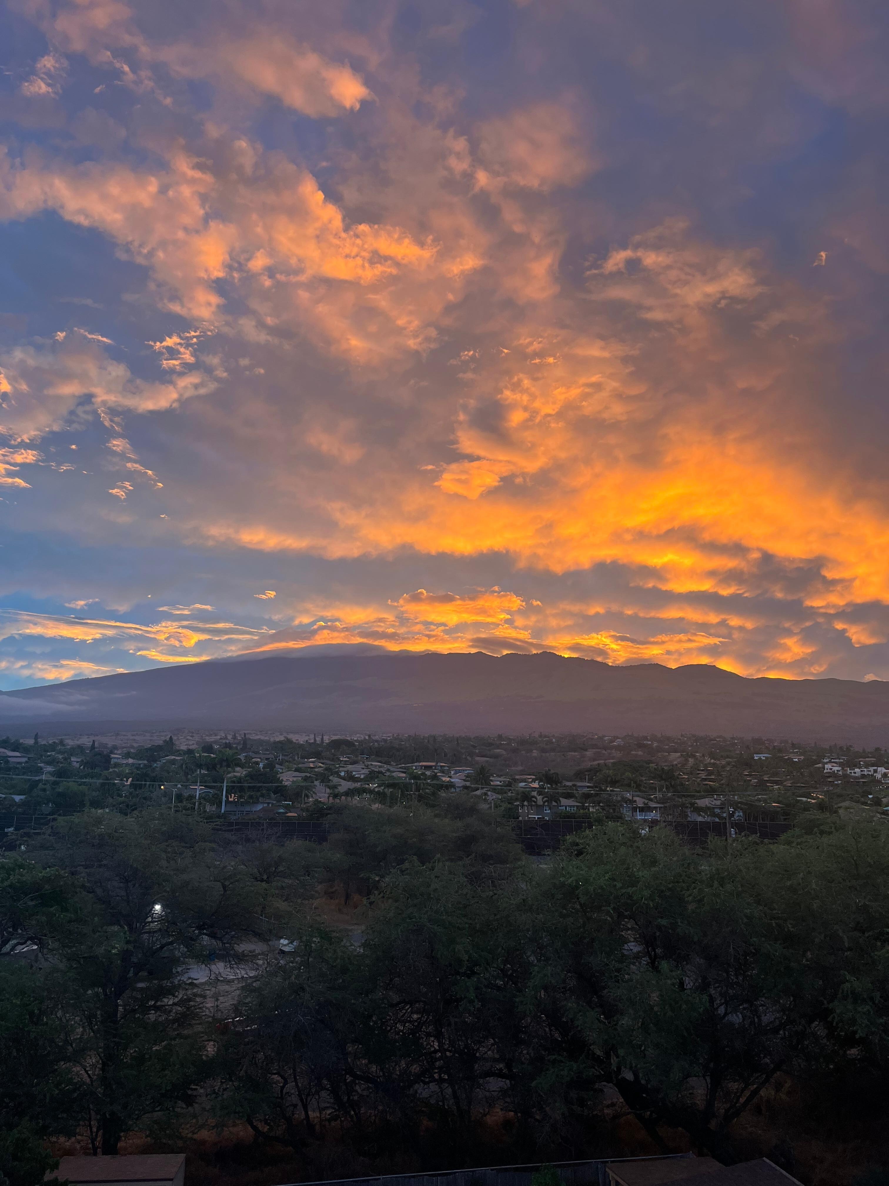 View from the kitchen window
