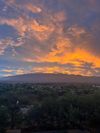 View from the kitchen window