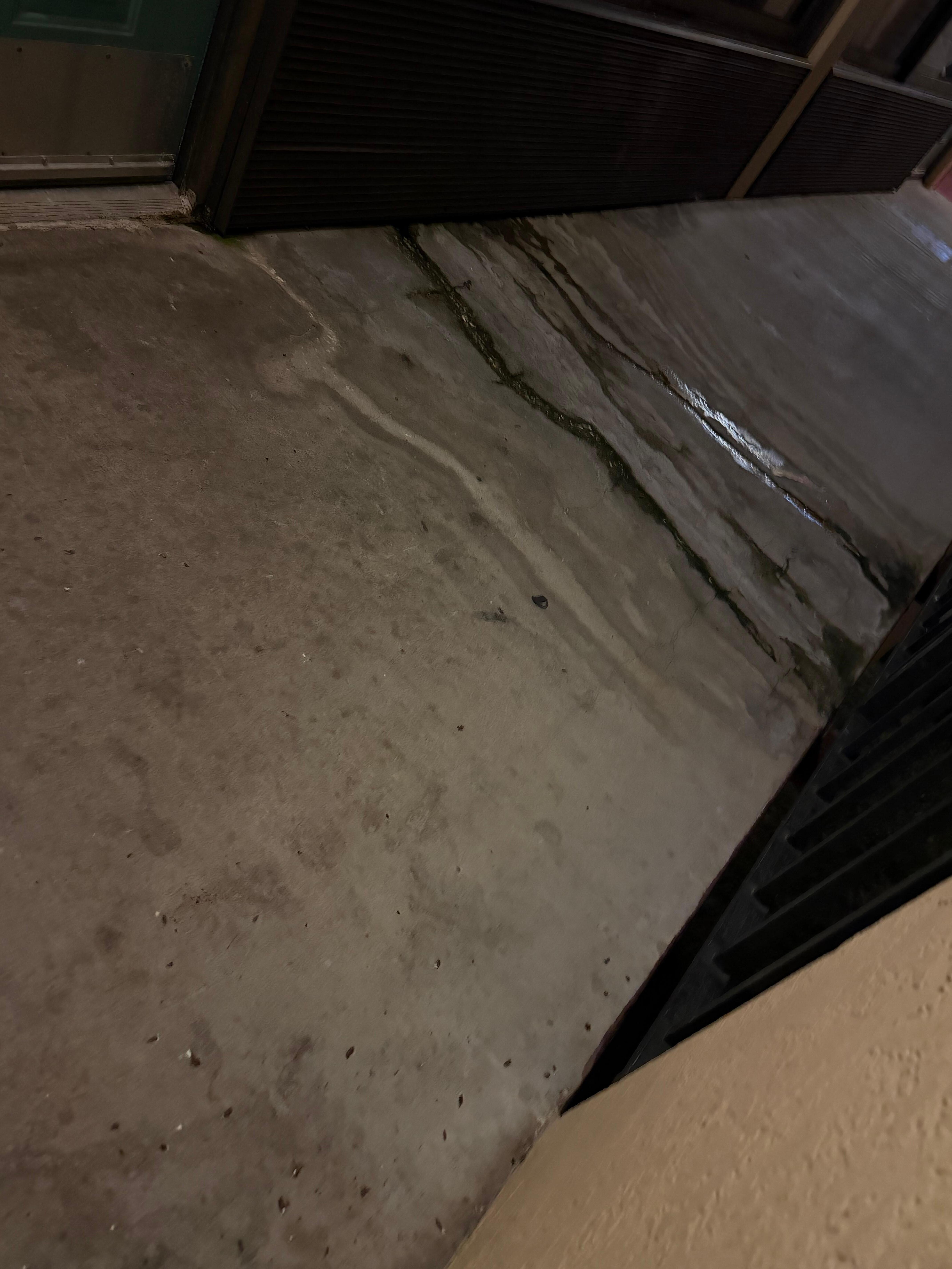 The smell was horrible like the trim been wet for weeks . We take off our shoes and realize that the carpet was soaked wet, water go all the way out the room.