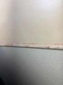 Wall