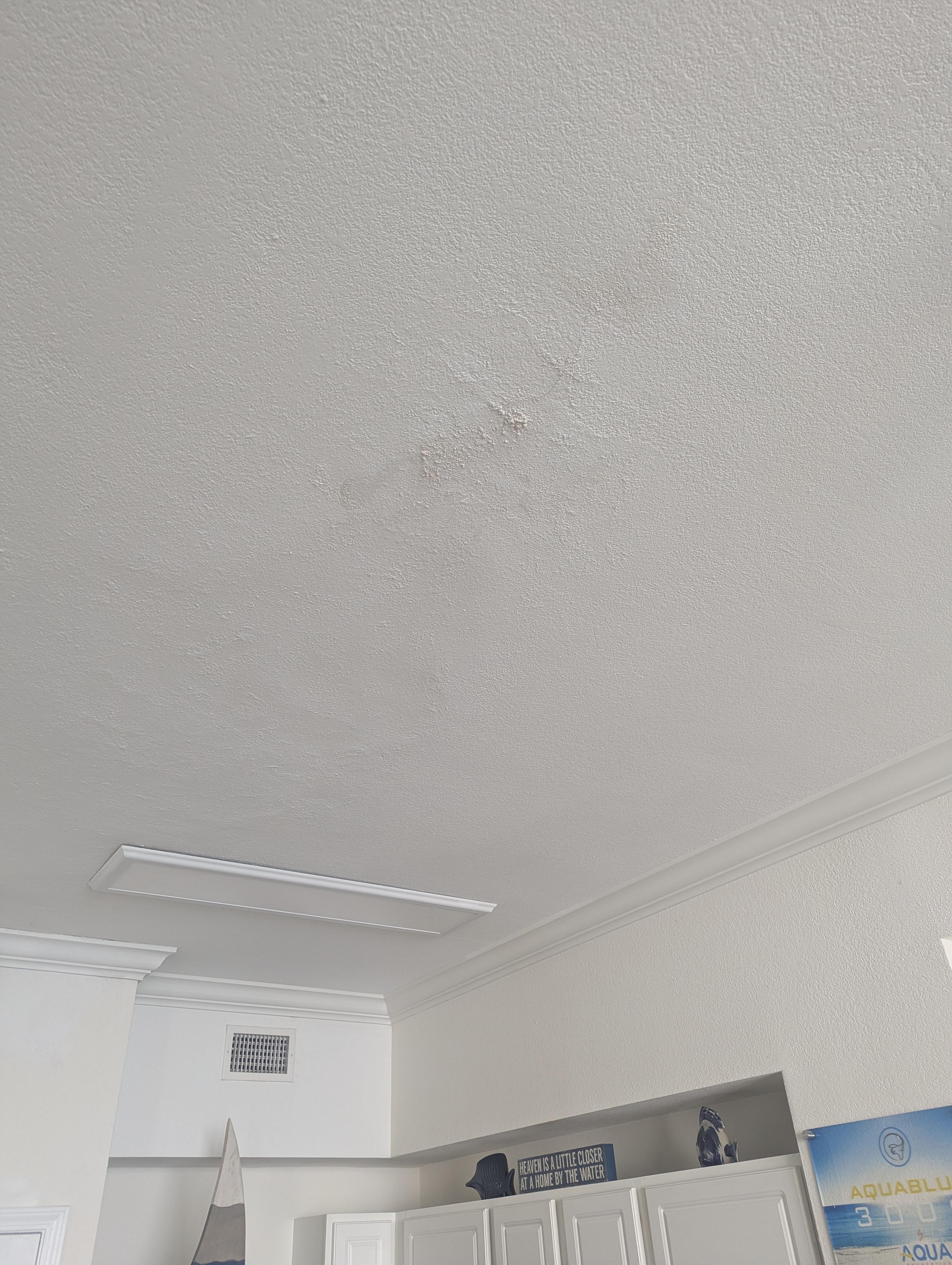 Ceiling needs repainted 