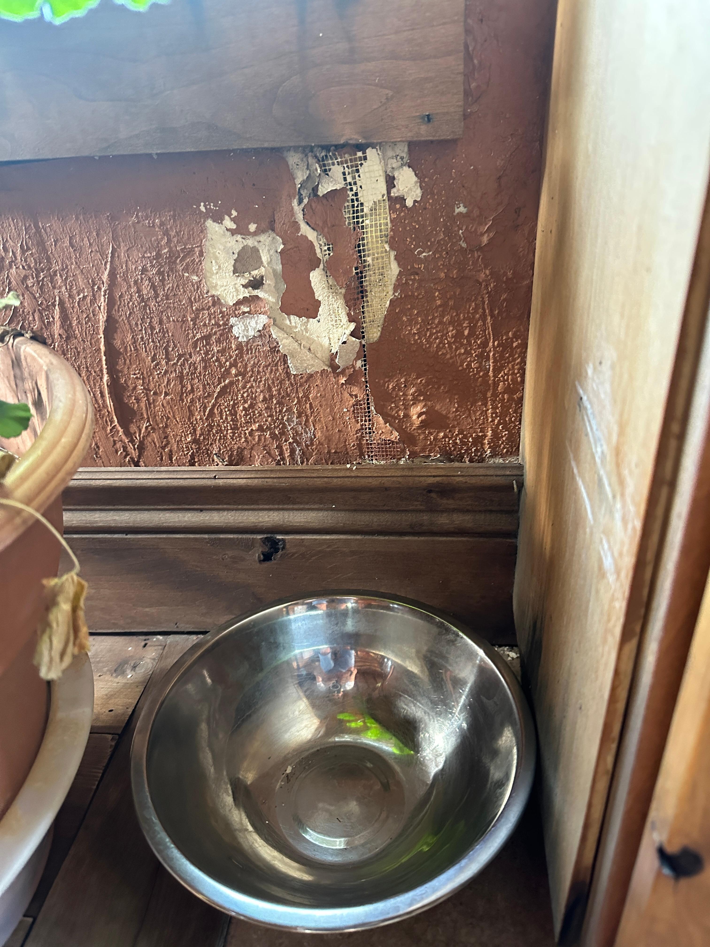 Stucco coming off in dining room
