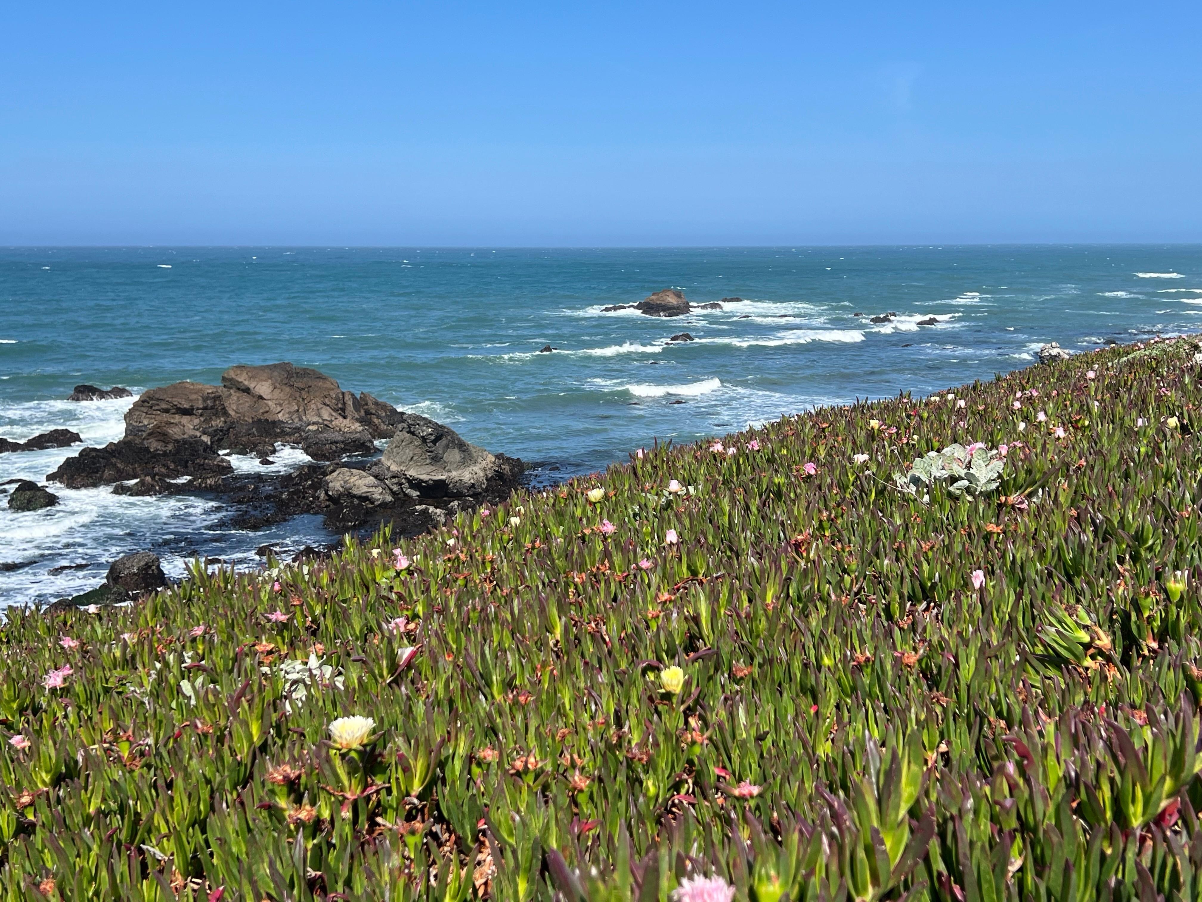 To the ocean