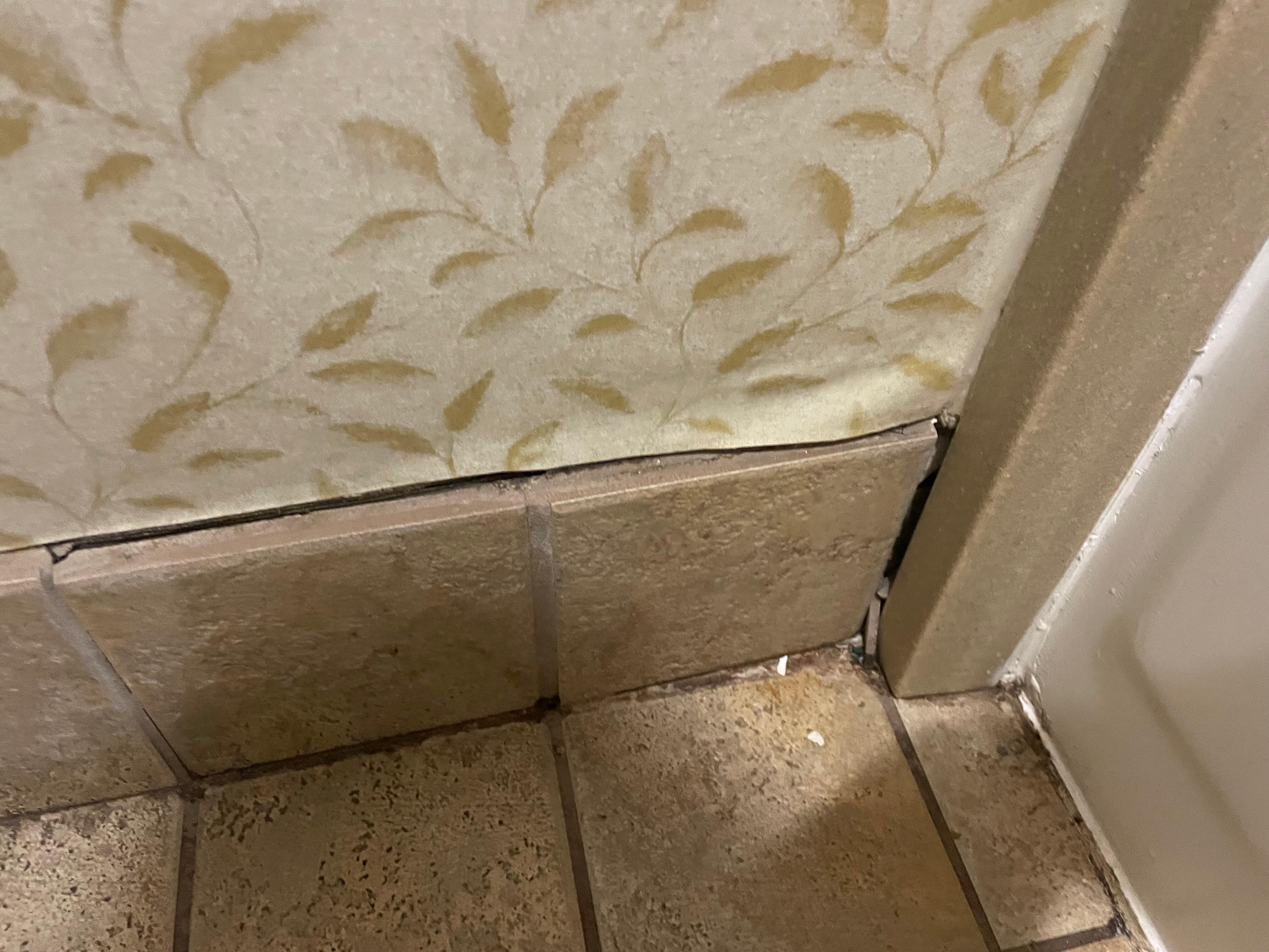 Tile