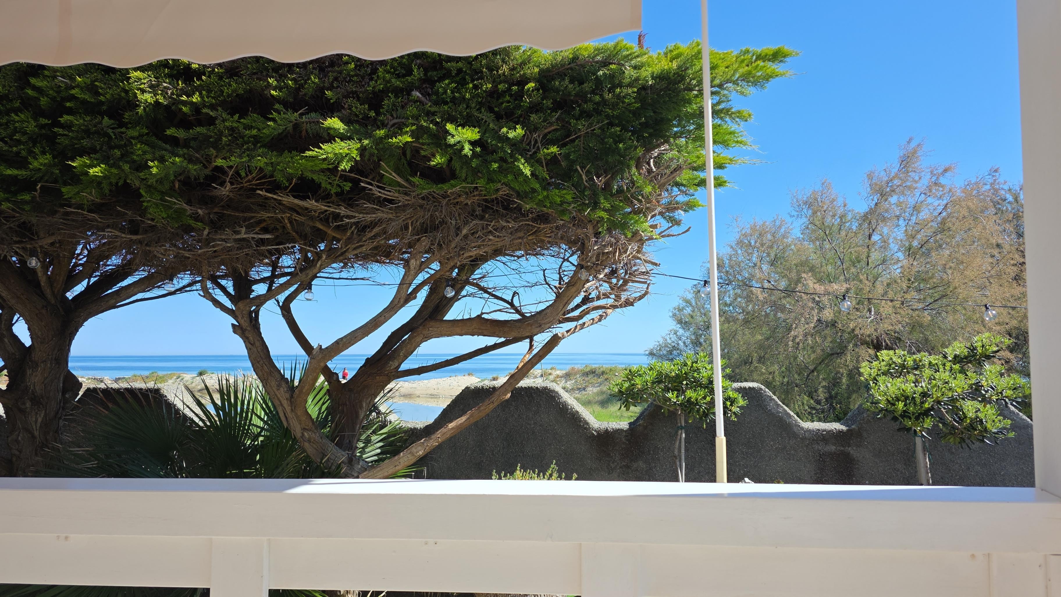 View from the veranda 