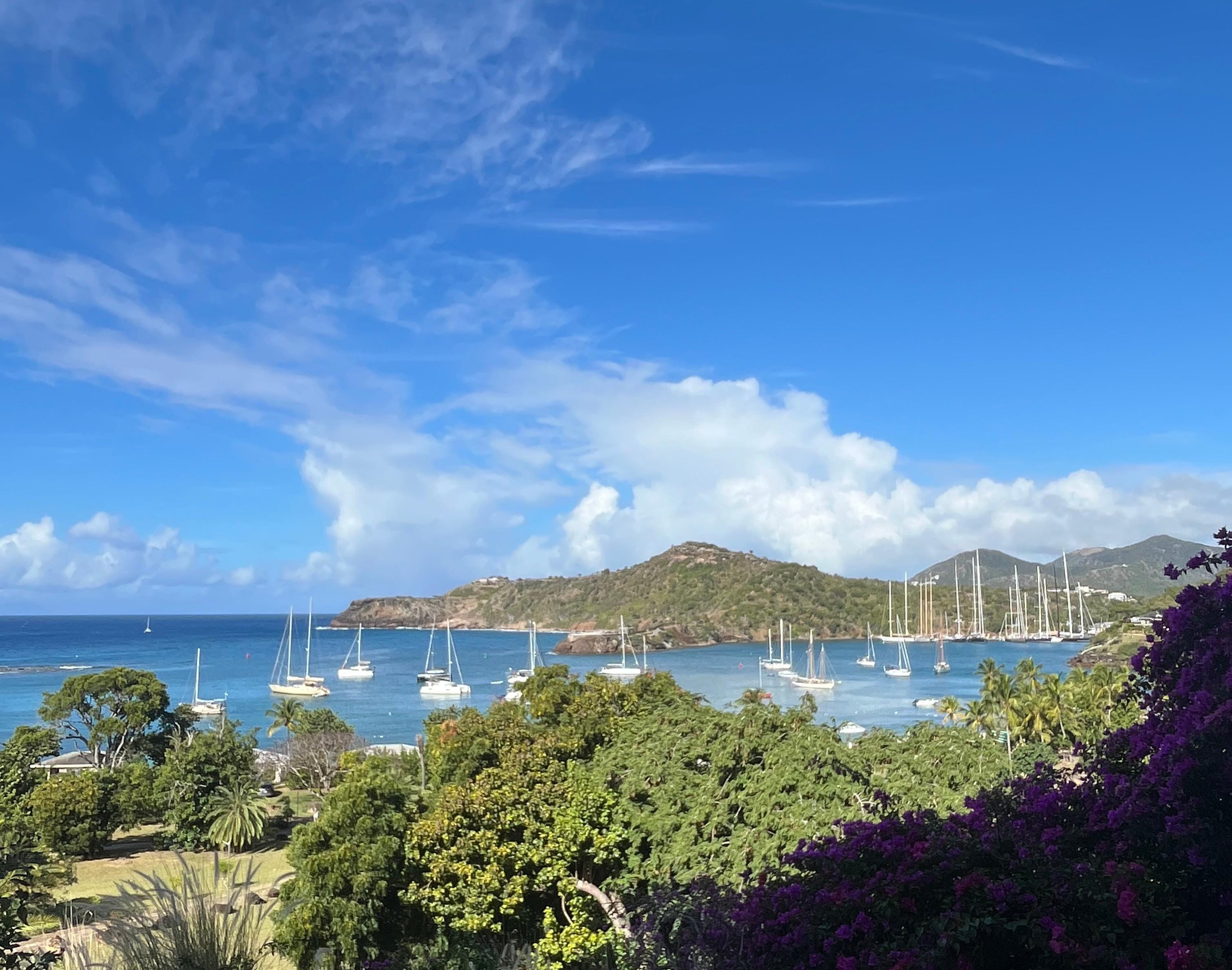 Breakfast view from porch 