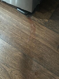 Juice trail on kitchen floor