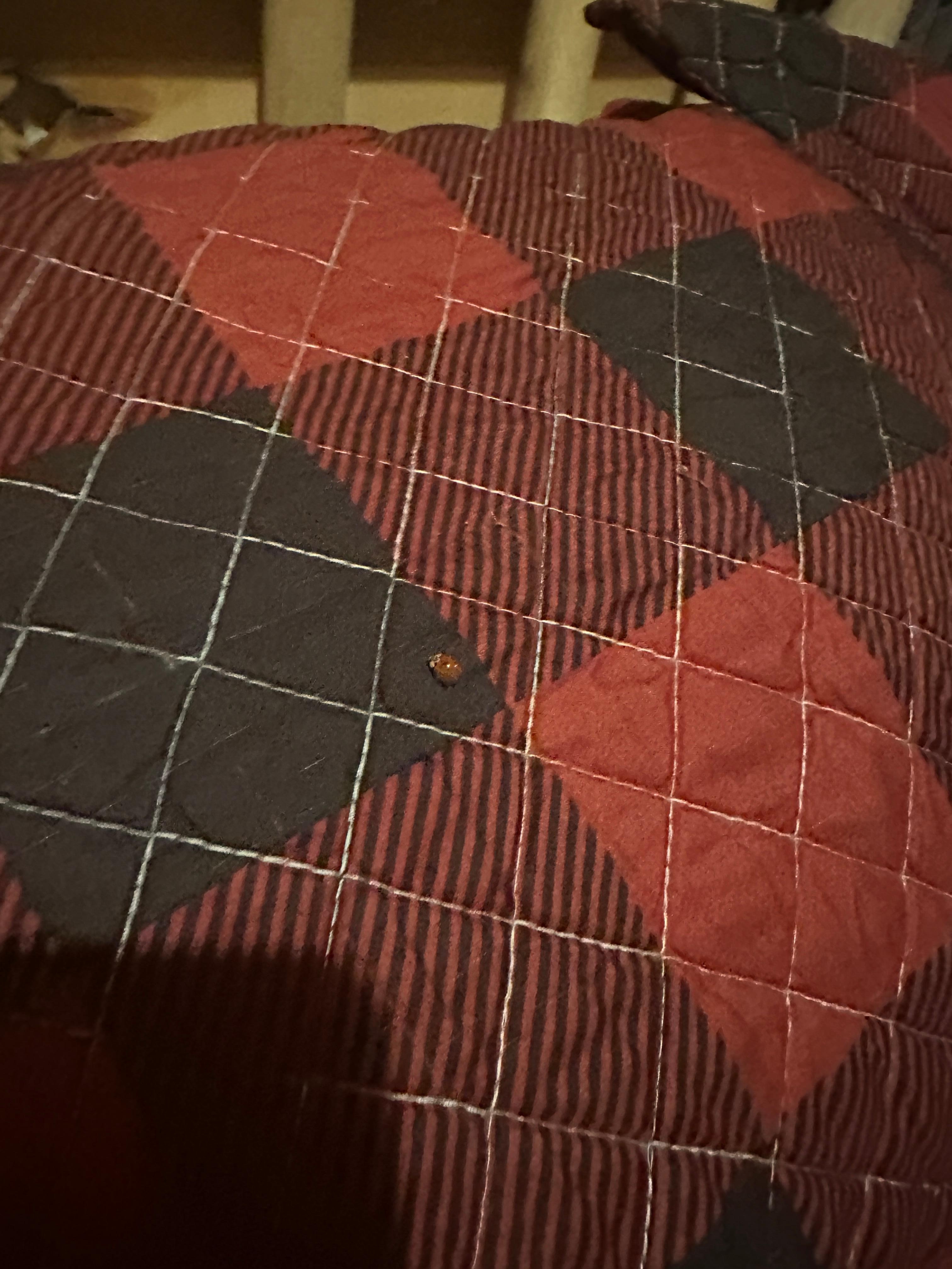 Wish I could post a video here. There were dozens of bugs crawling on the beds. 