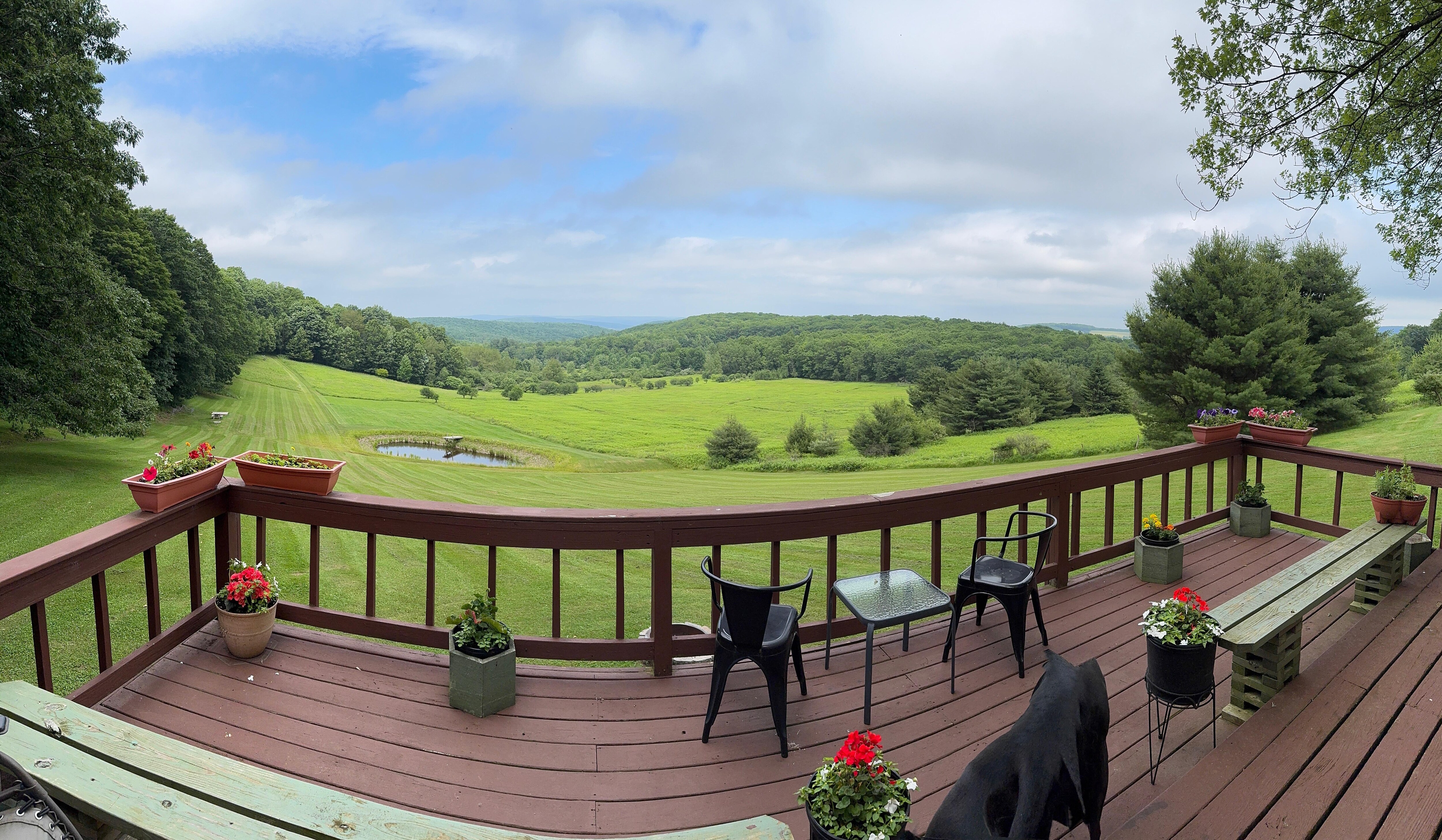 Highly recommend morning coffee on the deck.