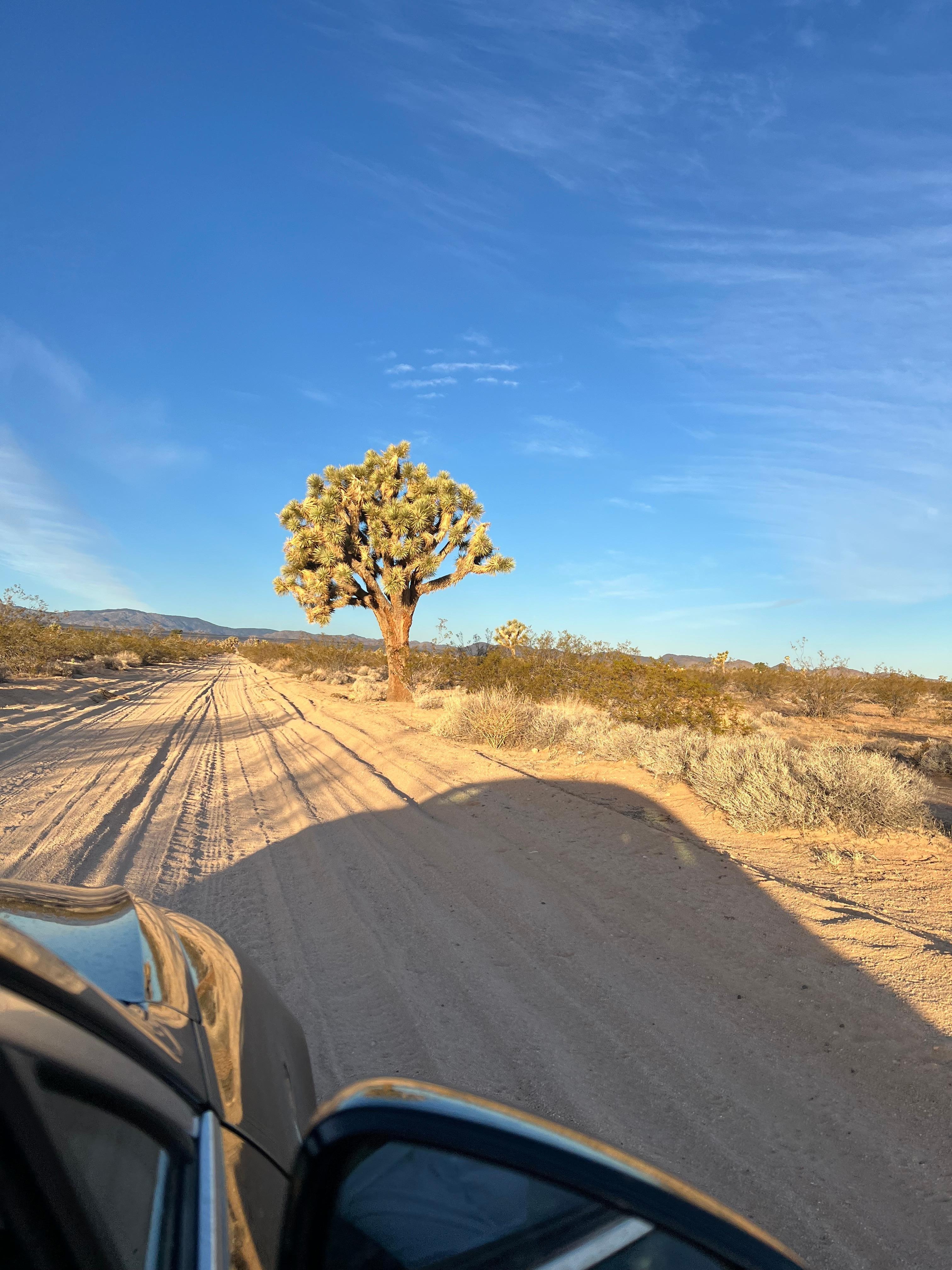Drive on sandy road to property 
