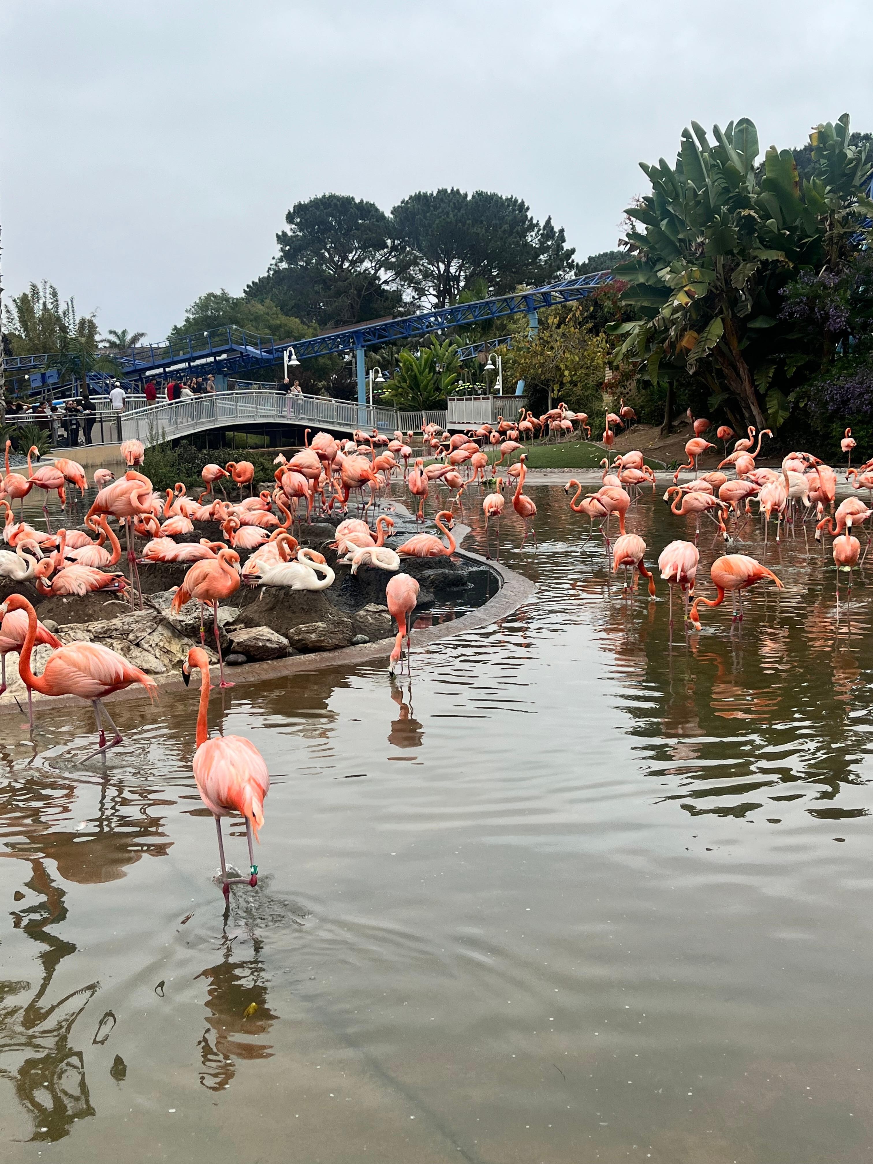 Sea World
