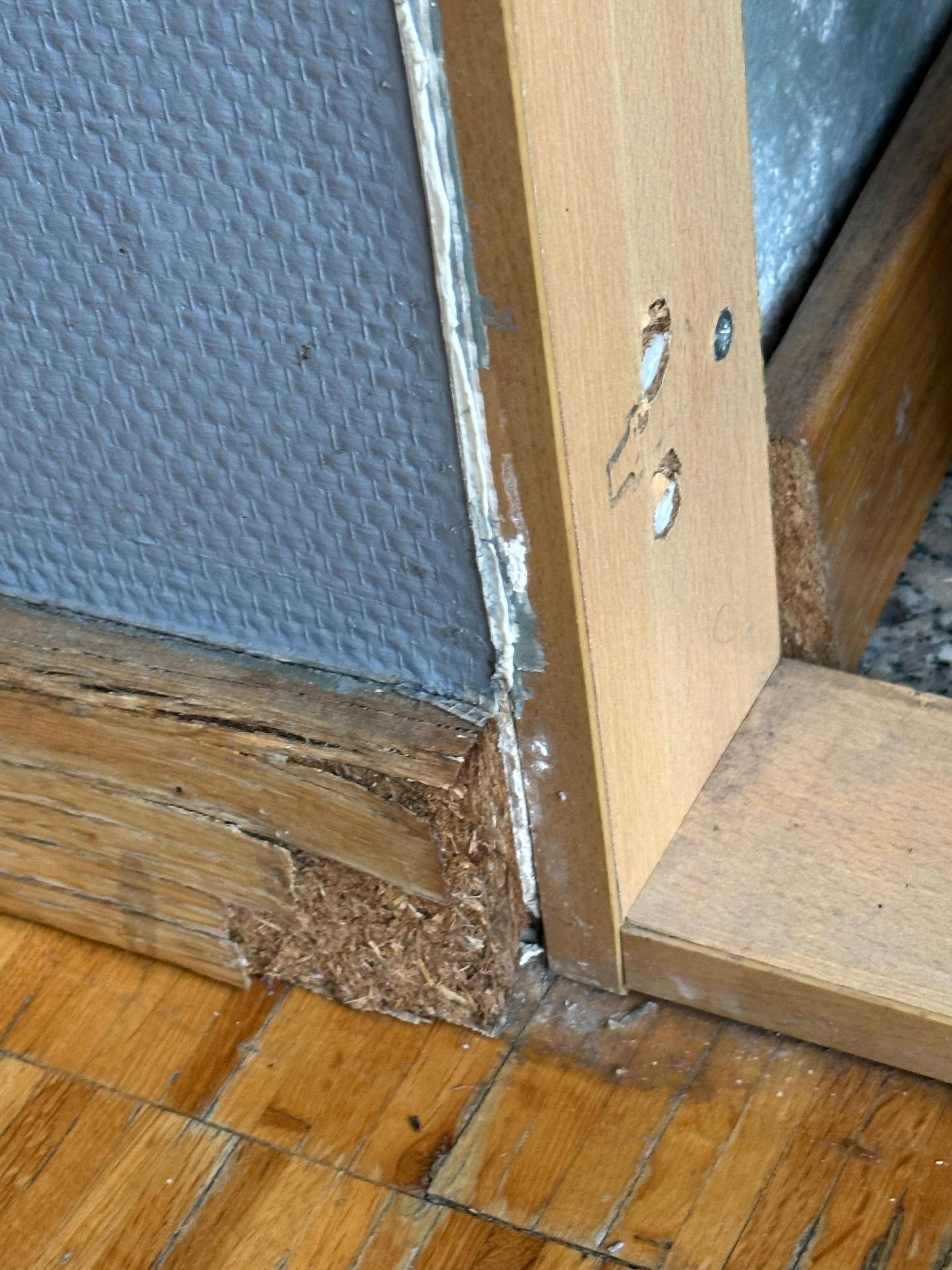 ZĂłcalos podridos sin reparar