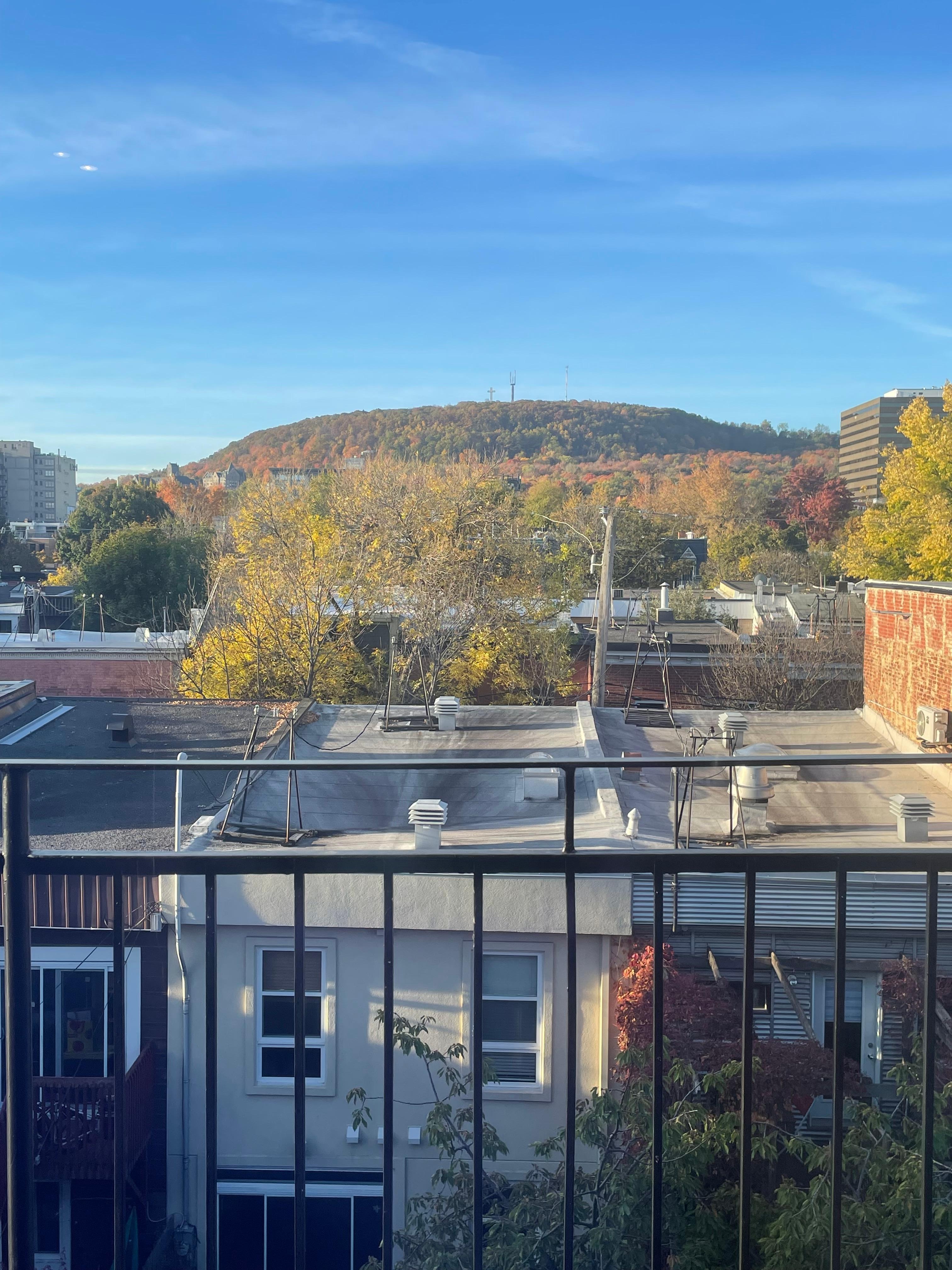 View from the window