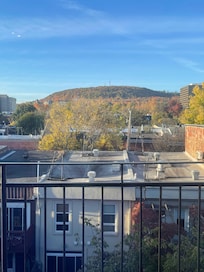 View from the window