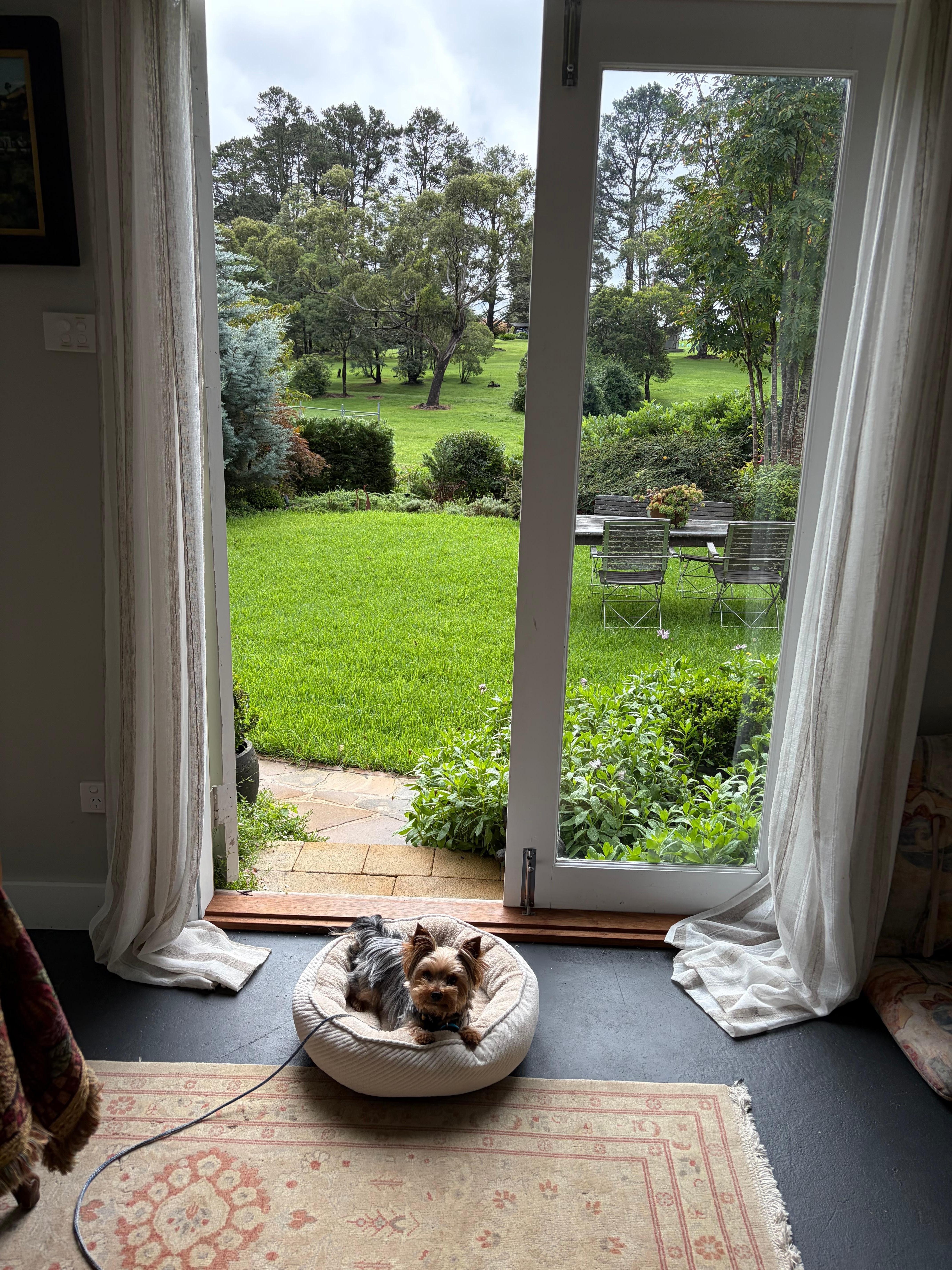 Banjo inside and maybe going outside 🤣