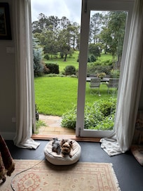 Banjo inside and maybe going outside 🤣