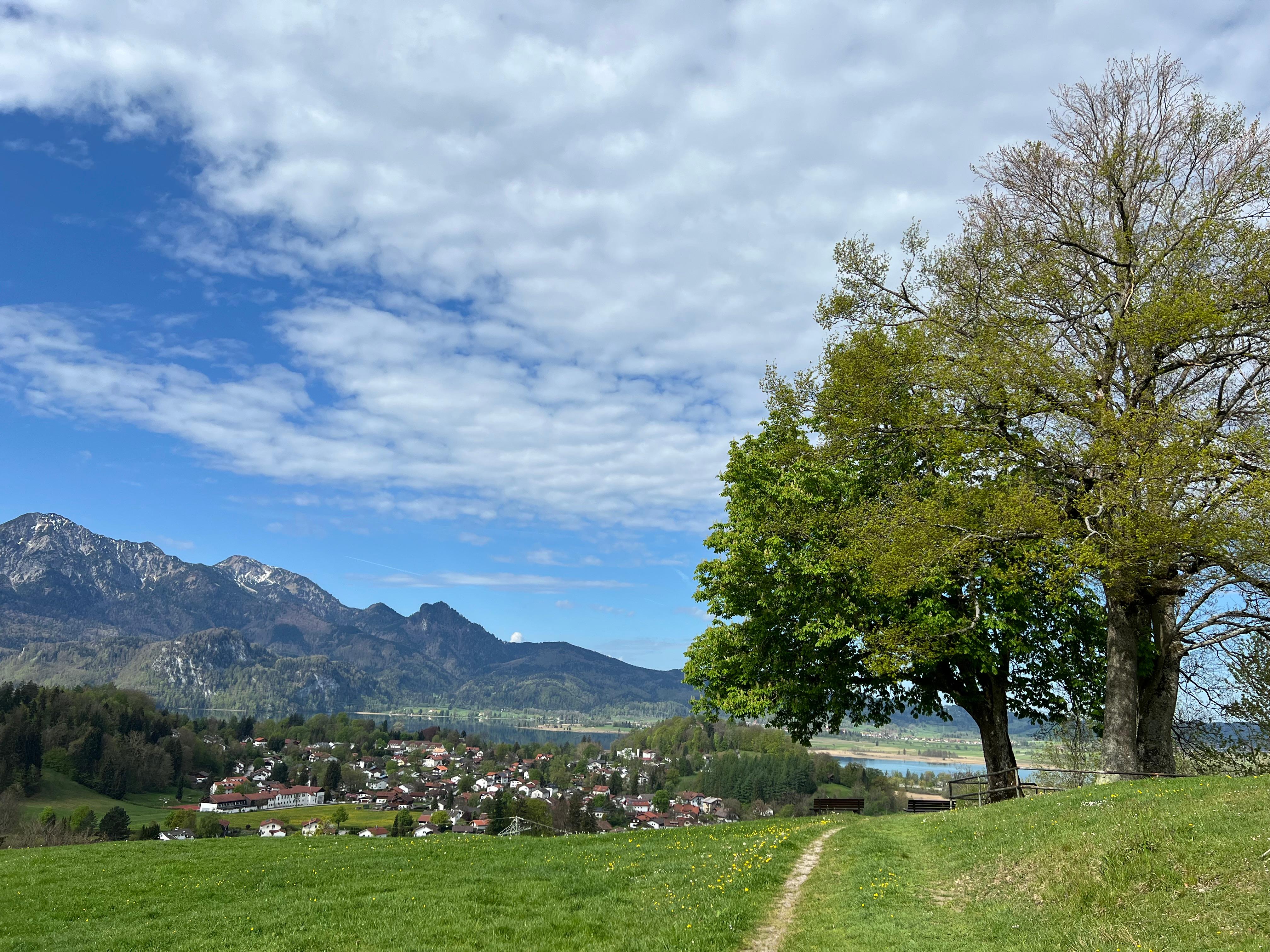 Vom nahegelegenen Aussichtspunkt hatte man einen tollen Blick auf Kochel und Kochelsee.
