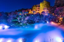 森のオーロラと東京雲海です