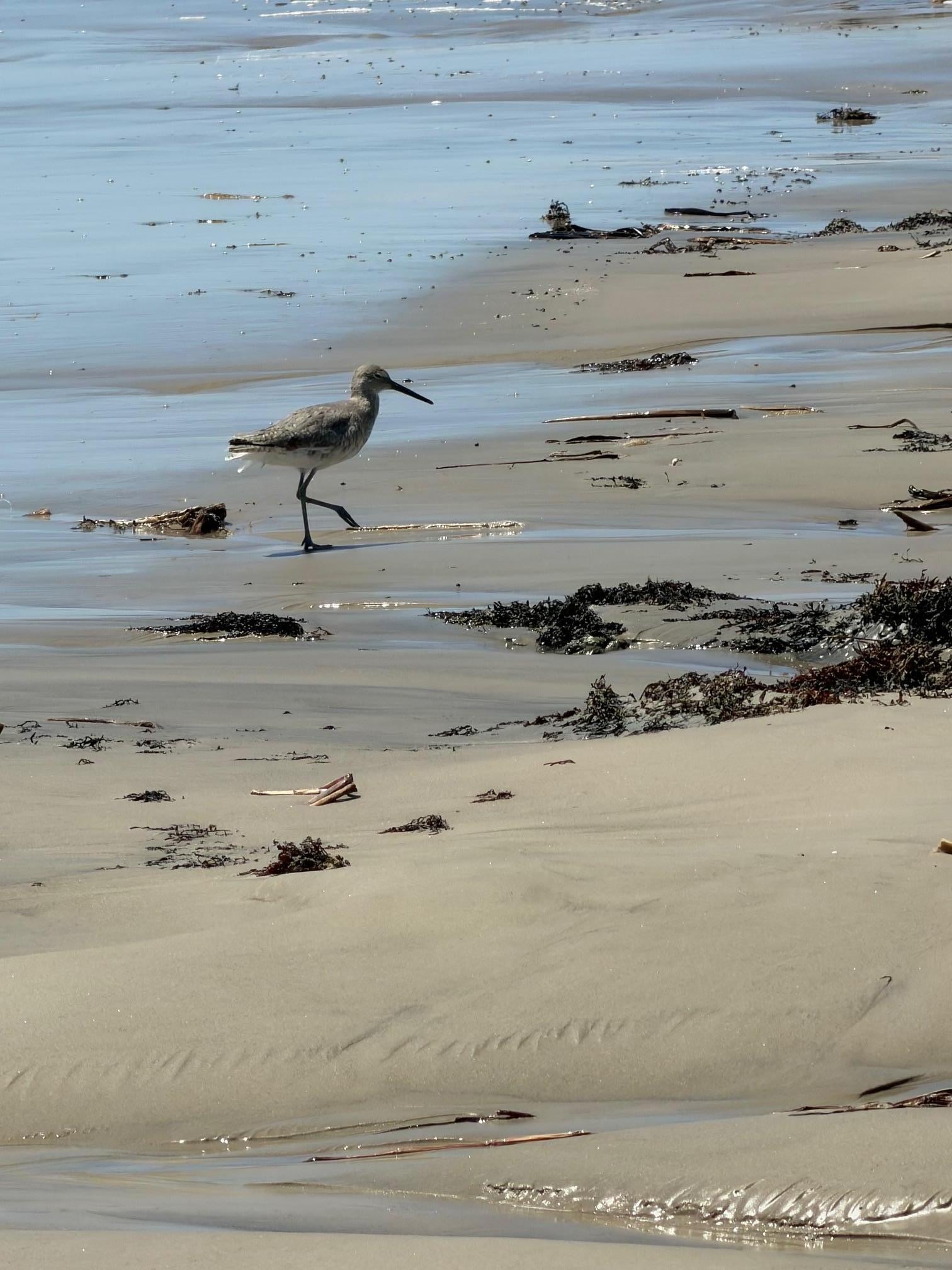 The area was quiet enough that we were able to watch a lot of birds from the balcony.